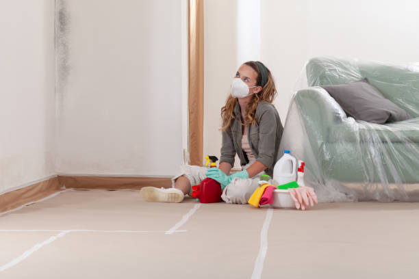 Reliable Crawl Space Mold Removal contractor in Nashville, GA by WQB Mold Removal