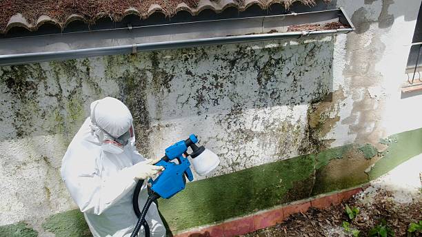 Top rated local Crawl Space Mold Removal specialists in Nashville, GA